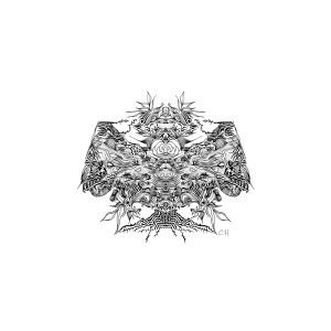 Symphony of Nature’s Whimsy – symmetrical black botanical linework centred within a square white fine-art print.