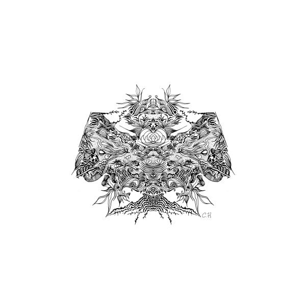 Symphony of Nature’s Whimsy – symmetrical black botanical linework centred within a square white fine-art print.